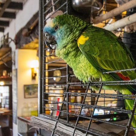 New Inn Кредітон Екстер'єр фото